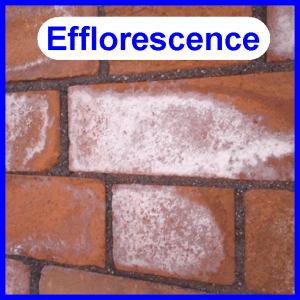 Bricks Efflorescence