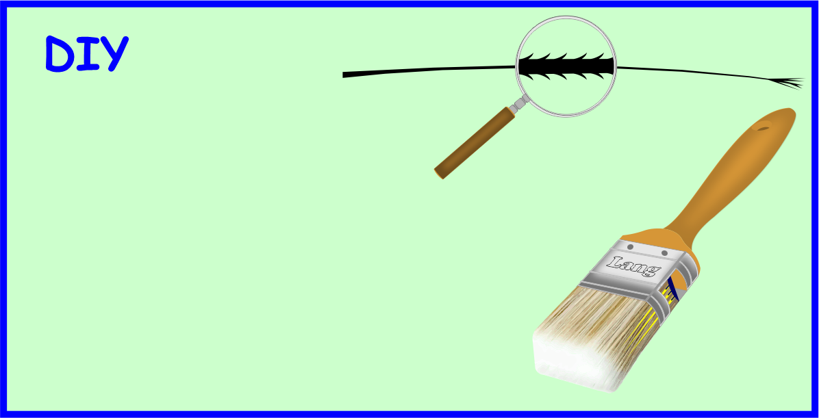 Components of a Paintbrush