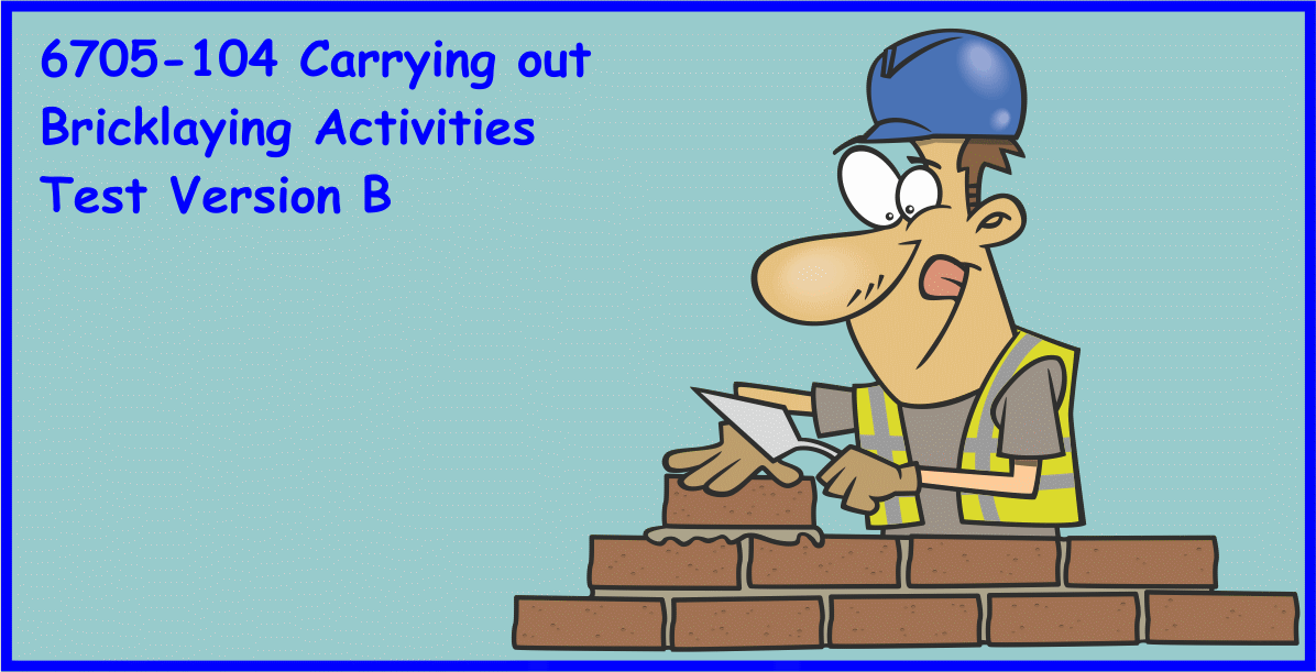 Carrying out Bricklaying Activities Test Version B