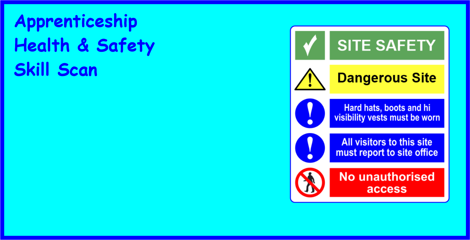 Apprenticeship Health & Safety Skill Scan