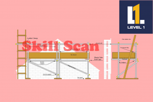 Basic Working Platforms Test